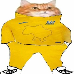 pitsunya