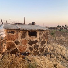 بنت جبل الدروز 🇸🇨