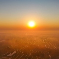 Wouter van der Mark 1