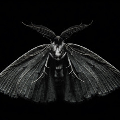 Mothman