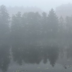 31dgk2z6457xrcoqluuxml6x