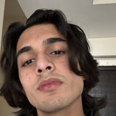 Avi.PALKI