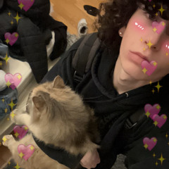 lilmoneelog
