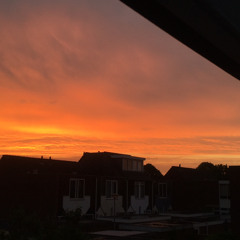 sannevannoort