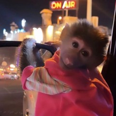 ABA ALHAJRI