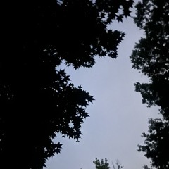 dubl3rr