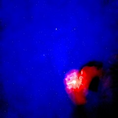 ダニエル