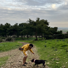 ‫אוראל חליוא‬‎