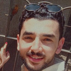 mohandez hady elmasry