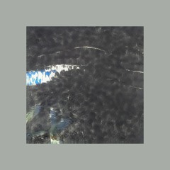 Novussurculus-lescoarowsf