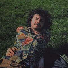 Sabzipolo