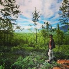 Ade Muhammad