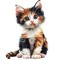 ~+*{KITTY-KATS}*+~
