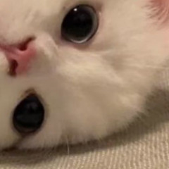 ㅊㅇ