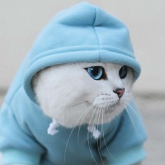 Евгений Яковлев