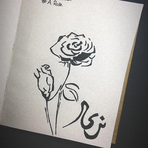 د/أحمد عَبد المِنعم...