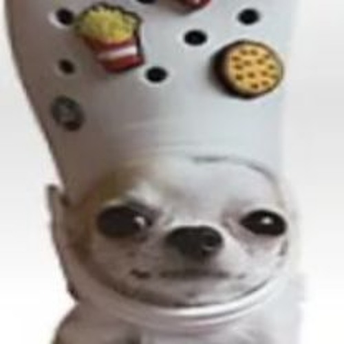 Stream Jay music | Listen to songs, albums, playlists for free on ...