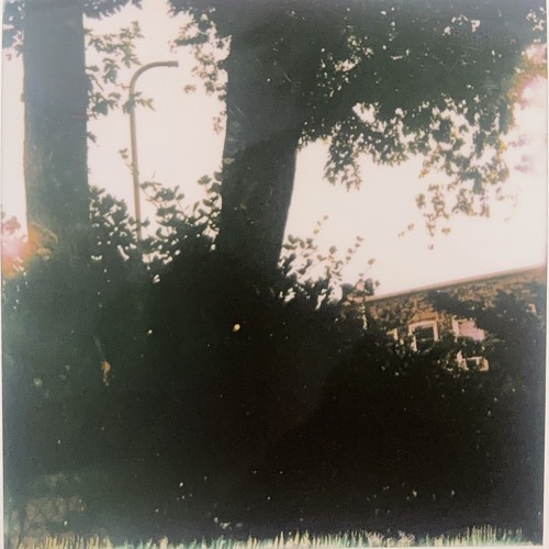 Stream rosa music | Listen to songs, albums, playlists for free on ...