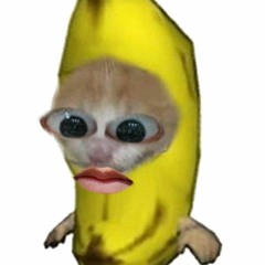 자지원