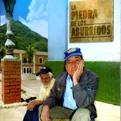 ELOGIO DEL EXCUSADO (J.S.Bache, mus. de doña IA)