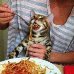 MommyCat