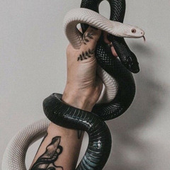 Jas🐍
