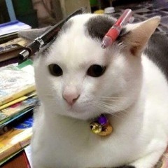 ʚɞ°₊sxh_.cycy ‧₊˚ ⋅