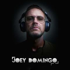 DJ / PRODUCER JOEY DOMINGO