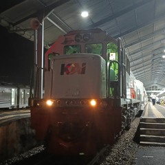 Raiilmiau