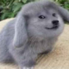 :