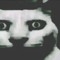 ⠀ ⠀ ⠀ ⠀ ⠀ ⠀