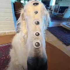 oculargerm