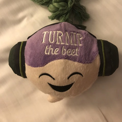 Turnip the Music