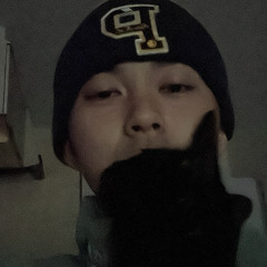 bobo