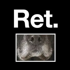 Retired Black Lab