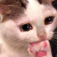 Lục Hoài Linh Chi