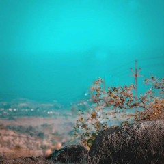 hd