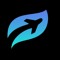 Joshua_Aviation