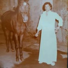 Sherif Habashy