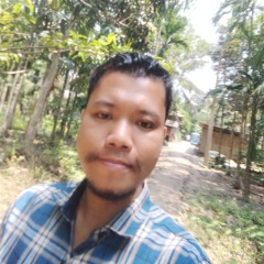 Pulin Baro
