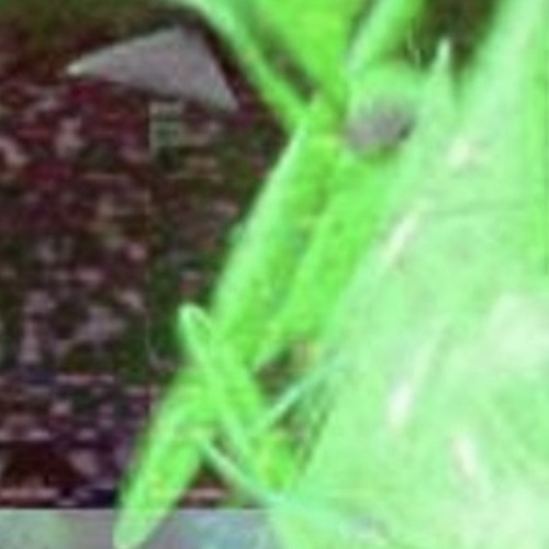 vlof x dolshi - whisper (zargyle bootleg)