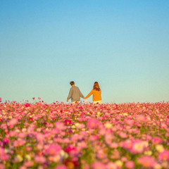 Chiến Nguyễn Sỹ