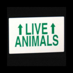 LIVE ANIMALS
