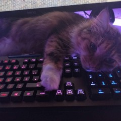qyoxv