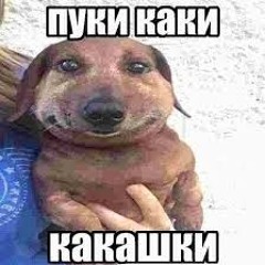 Пуки каки Какашки