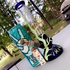 TodtheTurtle