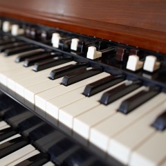 Plain American Girls