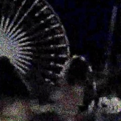 VIBXS
