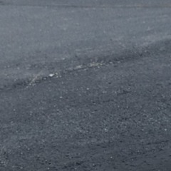 FP