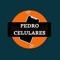 Pedro Julio